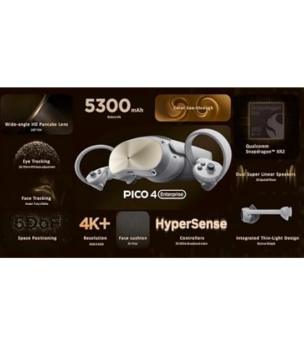 Amazon.com: Pico Neo 3 pro (VR) Headset VR Business Enterprise