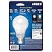 Cree BA19-04550OMB-12DE26-3_1 40W Equivalent 5000K A19 LED Light Bulb with 4Flow Filament Design, Daylight