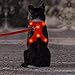 Light up Dog harness