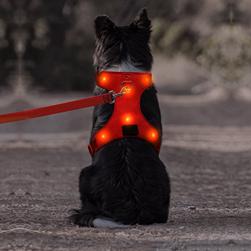 Light up Dog harness