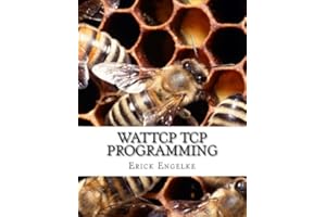 WATTCP TCP Programming