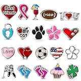 Floating Locket Color Enamel Charms
