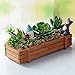 Wooden Plant Seeds Box, 2 Colors Randomly Indoor Outdoor Windowsill Kitchen Garden Herb / Flower Planter Trough (3Pcs)