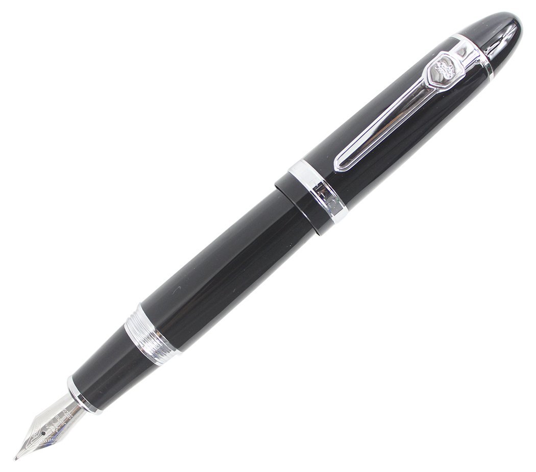 Abcsea Expert Deluxe Fountain Pen with Pen Pouch, Big Barrel - Black