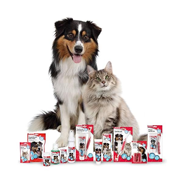 Beaphar-Toothbrush-and-Toothpaste-Kit-100g Beaphar | Toothbrush & Toothpaste Dental Care Kit | For Dogs & Cats | Includes a Double-Ended Toothbrush & Liver…