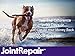 Joint Repair Advanced Hip & Joint Supplement for All Dogs. Naturally Relieves Arthritis, Pain & Inflammation. Extra Strength Chews: Glucosamine, Chondroitin, MSM, Turmeric & Omega 3. Made in USA