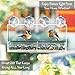 Superior Window Bird Feeder with Strong Suction Cups, 2 Way Mirror Film, Large Easy Clean Seed Tray, Outdoor Hanging Birdhouse for Wild Birds Like Cardinal & Bluebird. Great for Seniors & Indoor Cats