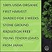 Verve Leaf Organic Japanese Ceremonial Grade Matcha Green Tea Powder- Sustained Energy - Promotes Overall Well-being (30g)