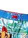 The Lion Guard Boys Swim Trunks Swimwear (4T, Blue/Green)