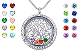 Floating Charms Living Memory Locket with 24 Birthstones,Gifts for Mom Girls Wife Sister Aunt Nieces Friends Daughter Boys, Silver Magnetic Closure Stainless Steel Jewelry