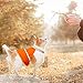 Vizpet Reflective Dog Vest with Lightweight Adjustable Strap & Comfortable Material Ideal to Keep Dogs Safe While Walking & Hunting