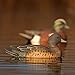 Avery GHG Hunter Series Life Size Wigeon Waterfowl Floating Hunting Decoys (6-Pack) | Ultra-Realistic Carvings and Paint Schemes | 60/40 Dura-Keel Design | 4 Drakes, 2 Hens - 73043