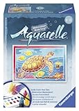 Ravensburger Aquarelle Turtle - Arts and Crafts Kit