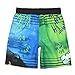 Lego Batman and Joker Boys Swim Trunks Swimwear (5-6, Blue/Green)