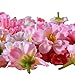 Cherry Blossom Flower Heads, Colorfulife Artificial Silk Flower Head Petals Bridal Shower Favors for Wedding Party Supplies Table Floor Decoration Centerpieces Home Decorative (100)
