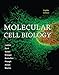 Molecular Cell Biology