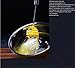 kakamono Egg Whisk Egg Beater Stainless Steel Balloon Galaxy Spring Whisk Egg Beater Milk Blender for Blending, Whisking, Beating & Stirring