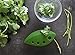 Herb Stripper & Collard Greens: Kale, Chard, Rosemary, Thyme. It Separates Leaves From The Stem For a Few Seconds, The Flick Of The Wrist. Ideal For Standard Condiments! Color - 