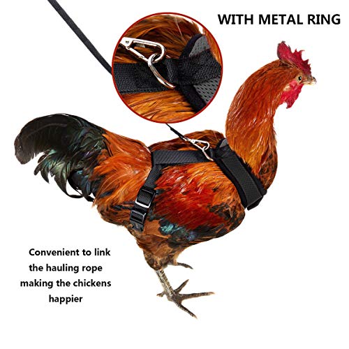 CXWAWSZ Hühnerleiter Schaukel Huhn Geschirr Henne Größe Hühnerstall Schaukel Leiter Cchicken Geschirr und Leine Huhn… – Bild 8