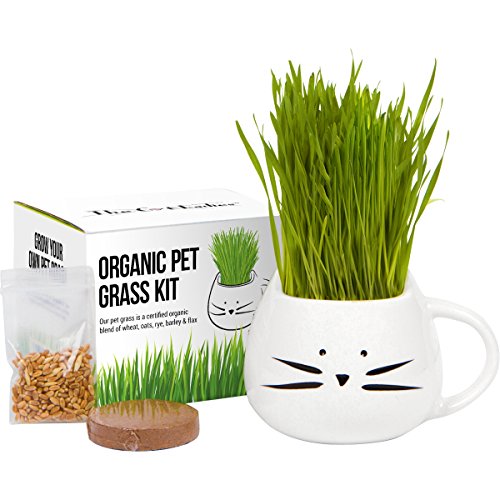 buy useful gifts from amazon related to Pet Supplies list of amazon products that are Hairball Remedy Pastes & Gels, under $20, under $25