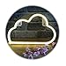 Cloud Neon Light Sign,Sky Theme Decoration Light,LED Cloud Shaped Room/Dorm Decor Light,Wall Decor/Table Decor for Chistmas,Birthday Party,Kids Room, Living Room, Wedding Party Decor (Warm White)
