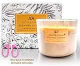T&H Citronella Candles Scented 3 wick, GIANT 1lb Natural Soy Wax, Glass Jar 17 oz, 80 Hour Burn, Natural Mosquito Repels, Outdoor and Indoor