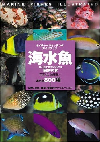 魚図鑑おすすめ人気ランキング10選 釣り ダイビングや深海で役立つ アプリも紹介 絵本スペース