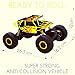 Top Race Remote Control Monster Truck RC Rock Crawler, 2.4Ghz Transmitter, 4WD Off Road RC Car - TR-130Y