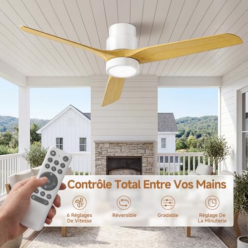 Ateroll Ventilateur de Plafond 3 Pales en ABS Ø132cm, Ventilateur Plafond Moderne 3 Températures LED (3000K-6500K), Télécommande Dimmable 6 Vitesses & Minuterie pour Chambre, Salon & Balcon