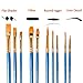 Hibery 20 Pcs Pointed - Round Paintbrush Set - Blue Round Pointed Tip Nylon Paint Brush Set, Art and Watercolor Brushes, Acrylic Paint Brushes, Oil Painting Supplies