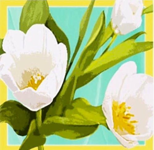Icing White Tulip on Acqua and Fresh Green