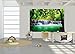 GREAT ART Poster – Waterfall Feng Shui – Picture Decoration Nature Jungle Paradise Thailand Asia Travel Wellness Spa Yoga Meditation Image Photo Decor Wall Mural (55x39.4in - 140x100cm)