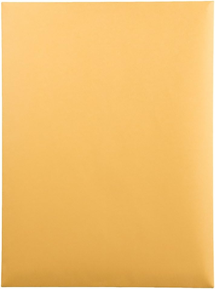 Quality Park 41465 Quality Park Catalog Envelopes, Heavyweight/Gummed, 9x12, 28lb, Kraft, 250/Box (QUA41465) : Office Products