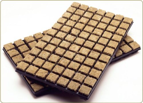 Esoteric Hydroponics Grodan Cuttings 1 Inch Rockwool Seeds Cubes X 385