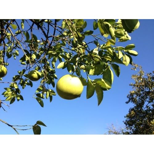 Sistemas operativos. Infraestructura para paginas web. Clase 23.3.2012