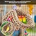 Wieppo Bird-Foraging-Toy-Perch Net – Woven Seagrass Mat Hammock Bird Toy, Hanging Hook Wall Bird Toys for Cockatoo,Cockatiels-Conure-Budgie-Parakeet-Lovebird-Parrotlets, Jendaythumb 4