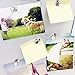 Magnetic Push Pins 20 pack ,Silver Magnets, Brushed Nickel Push Pin Strong Magnets for Refrigerator,Whiteboard, Map, Calendar and More