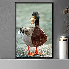 signwin Framed Canvas Wall Art Single Bird Birds...