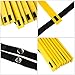 Reehut Agility Ladder Speed Training Exercise Ladders (Yellow, 12 Rungs) w/ FREE USER E-BOOK + CARRY BAG