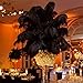 Bseash Natural Ostrich Feathers Bulk 12-14 inches (30-35cm) for Wedding Party Centerpieces, Flower Arrangement and Home Decoration (Black 50pcs)