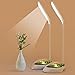 CHARHODEN Desk Lamp LED Office Desk Lamp,Reading Lamp for Kids Computer Desk Lamp,Working Night Lamp with Usb Charging Port