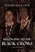 Belonging to the Black Crows: A Lakota Journey by Dorothy Black Crow