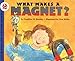 What Makes a Magnet? (Let's-Read-and-Find-Out Science 2)