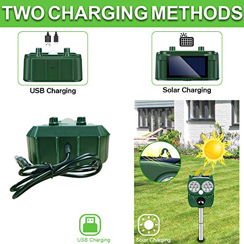 Gardtech 2021 Upgraded Animal Birds Repeller, Keep Away Rats, Skunks