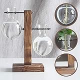 Water Planting Glass Vase,Clear Glass Vase Hanging Plant Terrarium with Retro Solid Wooden Stand for Hydroponics Plants Home Garden