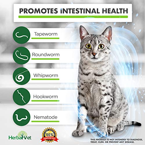 HerbalVet 4 Tablets Cat Intestinal Cleanse Cat Dewormer Alternative