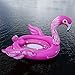 Party Bird Island - Flamingo