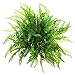4 Pack Artificial Plants Boston Fern Bush Plant Shrubs,Artificial Boston Fern Plants Greenery Bushes Flower for House Office Garden Indoor Outdoor Decor