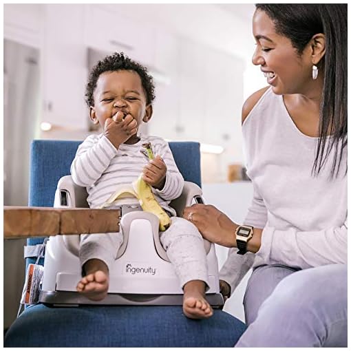ingenuity baby booster feeding seat