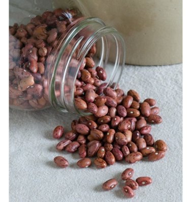 Seeds-and-Things-Vermont-Cranberry-Bean-50-Seeds--HeirloomSweet-Flavor-Easy-To-Grow